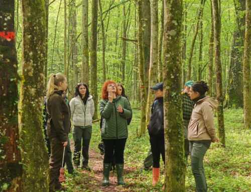 Terenska nastava u Prašniku