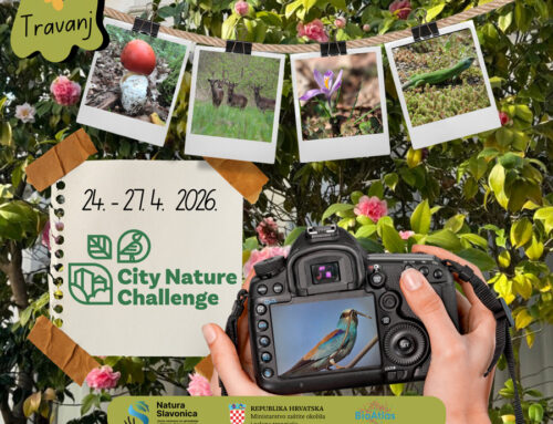 Pozivamo sve stanovnike Brodsko-posavske županije da se uključe u City Nature Challenge 2026!