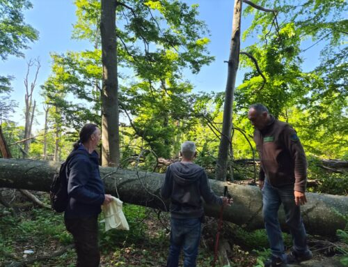 Istraživanje bioraznolikosti gljiva na zaštićenim dijelovima prirode Brodsko-posavske županije