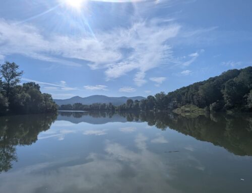 FOTO NATJEČAJ – Sava u kadru!